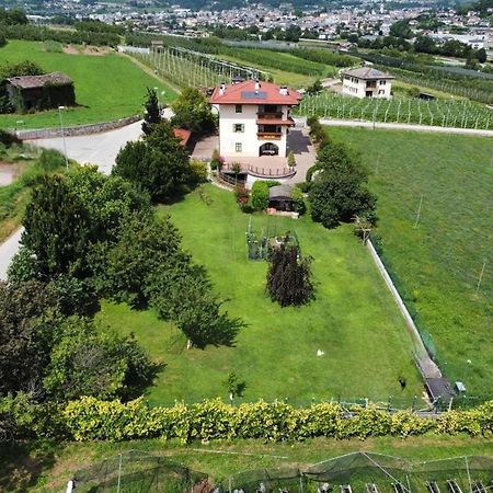 Il Gallo Pergine Valsugana Ngoại thất bức ảnh