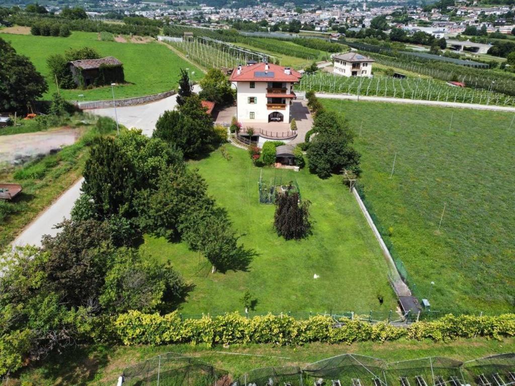 Il Gallo Pergine Valsugana Ngoại thất bức ảnh